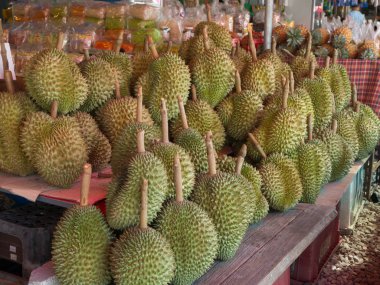 Rayong, Tayland-Nisan, 2017: Ahşap Shel üzerinde olgunlaşmış Durian gurup