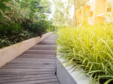 ahşap Bahçe patika doğal Bahçesi.