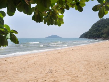  Doğal mavi deniz plaj arka plan ile yaprak çerçeve.