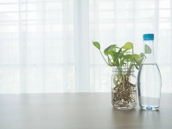 Tavolo da cucina con bottiglia d'acqua e betel su vaso di vetro — Foto Stock