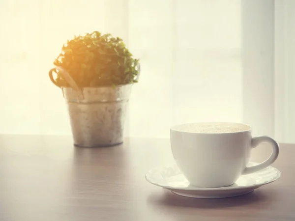 Taza de café de café con leche, pequeño jardín de árboles en maceta y borrosa — Foto de Stock