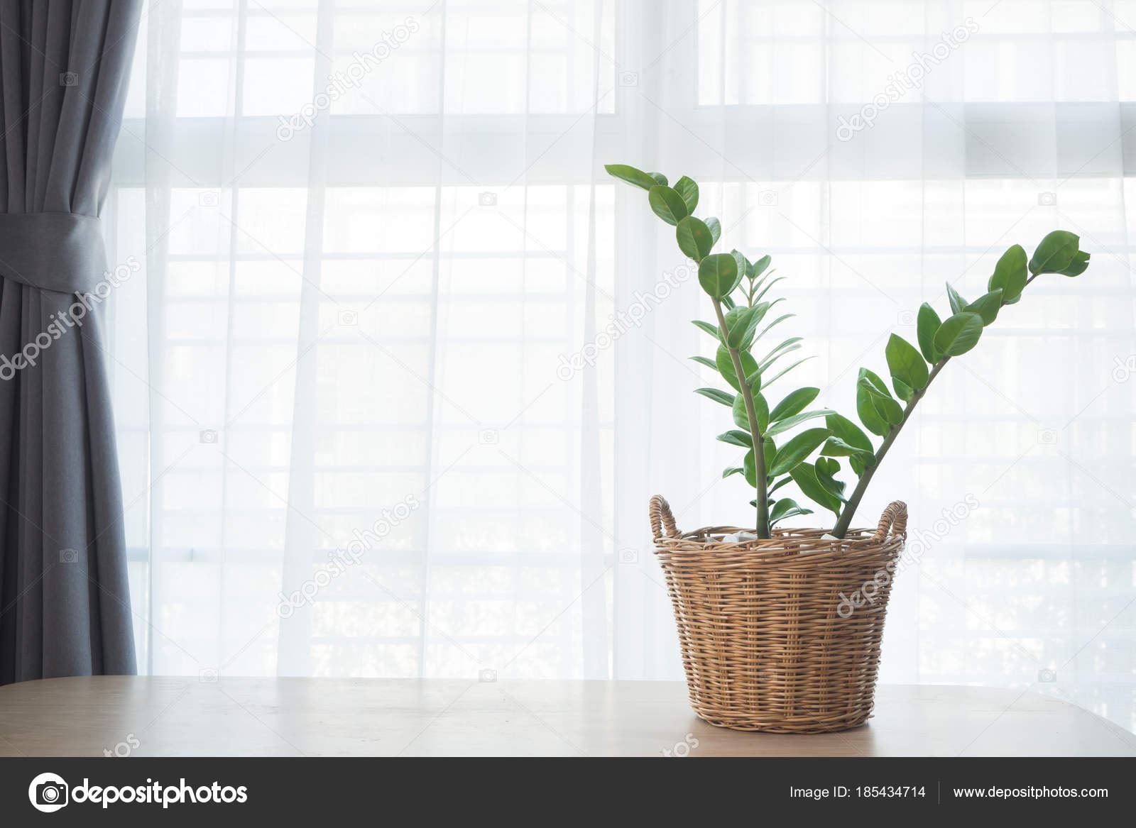 Office table tree online
