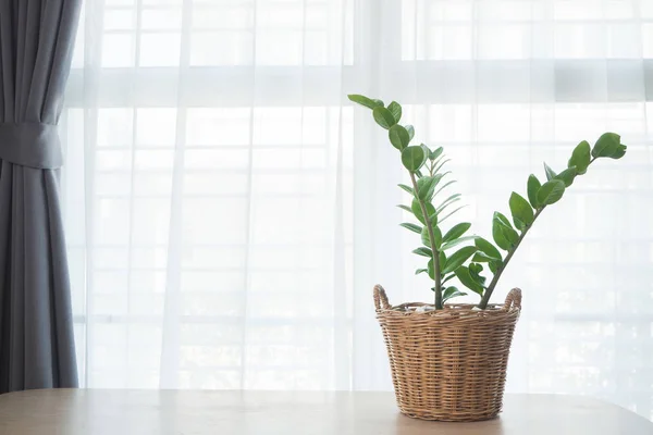 Mesa Oficina Madera Con Árbol Jardín Cesta Madera Fondo Textura — Foto de Stock