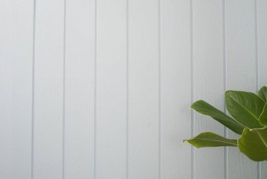 Boş beyaz ahşap duvar doku arka planı yeşil yaprak çerçeve ile metin için
