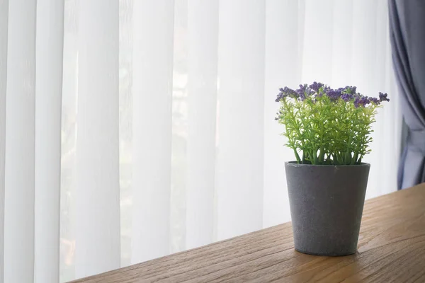 Wood office table with violet  flower pot  on white curtain wind Stock Picture