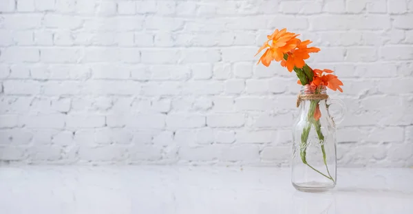 Glasvas med orange vacker blomma på vit tegelvägg. — Stockfoto