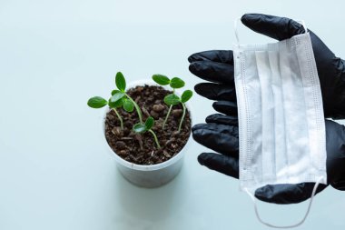 Tıbbi tasarım için yakın plan. Coronavirüs salgını. Önleme salgını. Sağlık hizmetleri. Lateks eldivenler. Bahçe sezonu