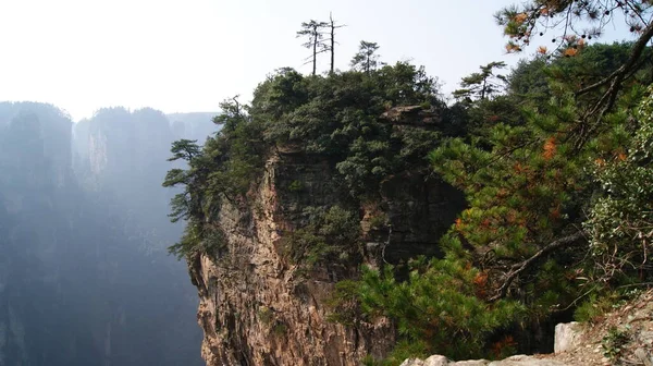 峡谷の背景に松の木がある別の岩と素晴らしい自然景観 — ストック写真