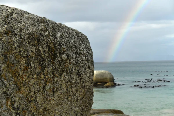 Arco Íris Sobre Praia Ensolarada Verde Onde Vivem Pinguins — Fotografia de Stock