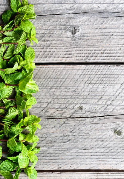 Fresh mint leaves on wooden background — Stock Photo, Image