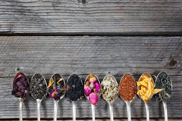 The different kinds of tea presented as a sample in the silver spoons, top view — Stock Photo, Image