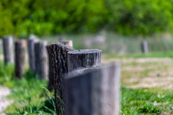 Wood Fence Stump Background Spring Time Weathered Wooden Fence — Stock Photo, Image