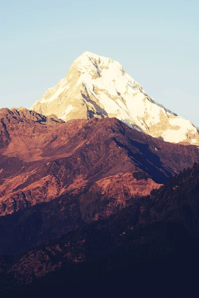 Гірський пік з ранковим світлом на білому тлі — стокове фото
