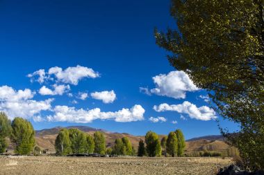 Sonbaharda kırsal alan