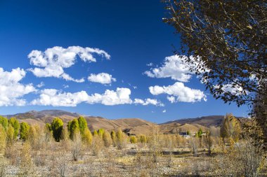Kırsal manzara Güz. Beyaz bulutlar, mavi gökyüzü vardır ve 