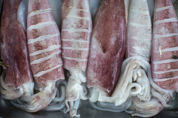 Ham squids yemek pişirmek için hazırlanıyor