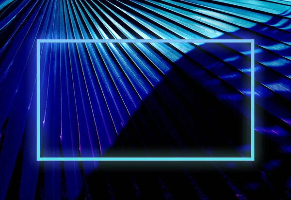 Mavi tonlu palmiye yaprağı, neon ışıklı çerçeve, yaz arkaplan
