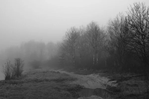 Moody Black White Landscape Foggy Lake Front — Stock Photo, Image