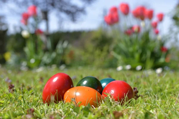 Donner Des Œufs Pâques Est Une Pratique Courante Tradition Coloration — Photo