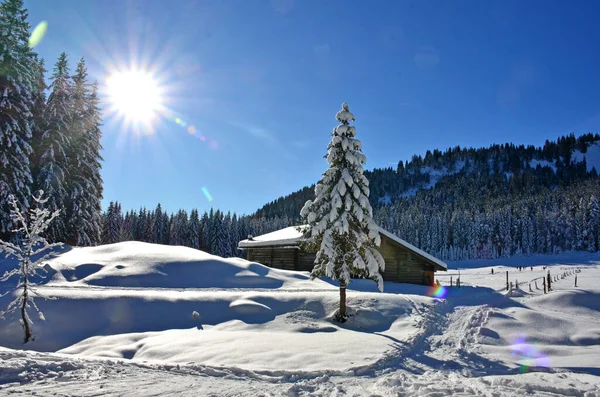 Das Skigebiet Postalm Österreichs Größter Alpenlandschaft Zeichnet Sich Vor Allem — Stockfoto