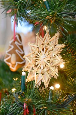 Bad Ischl 'deki Noel ağacı (Gmunden bölgesi, Yukarı Avusturya)