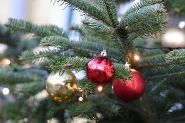 Bad Ischl (Gmunden İlçesi, Yukarı Avusturya) yaya bölgesinde Noel ağacı)