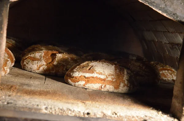 Bread dough in baking tins before being put in the oven (Eggerhaus, Altmnster, district of Gmunden, Upper Austria)