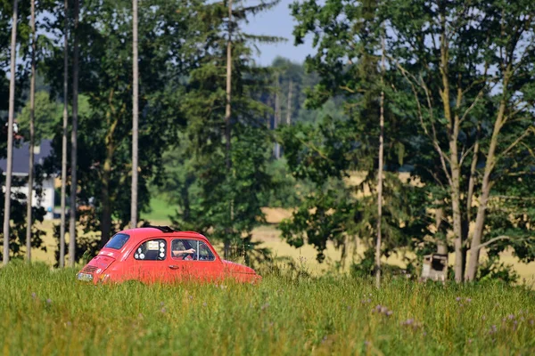 Fiecare Începutul Lunii Iulie Fanii Modelului Puch 500 Fiat 500 — Fotografie, imagine de stoc