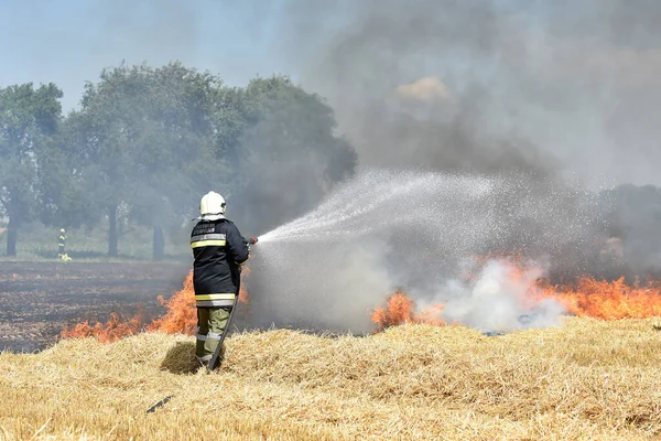 Büyük yaz sıcağından dolayı, bir alan tutuşur ve yanmaya başlar..