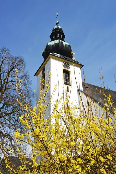 Vcklabruck Ilçesinde Avusturya Bir Kilisenin Önündeki Bir Çalı Çalısı — Stok fotoğraf