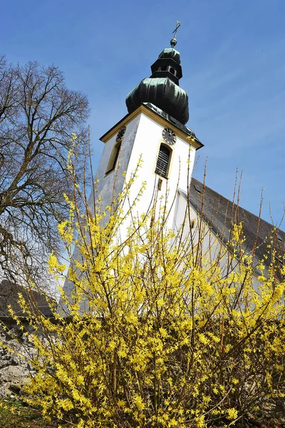 Vcklabruck Ilçesinde Avusturya Bir Kilisenin Önündeki Bir Çalı Çalısı — Stok fotoğraf