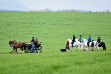 Bad Wimsbach-Neydharting 'deki Georgi-Ritt (Wels-Land semtindeki) - Georgiritt, çoğunlukla asırlık geleneklere dayanan Aziz George anısına at ziyaretçilerinin adıdır..