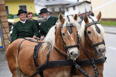 Ampflwang 'daki Georgi-Ritt - Georgiritt, Aziz George anısına yapılan ve asırlık geleneklere dayanan at ziyaretçilerinin adıdır..