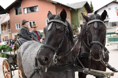 Ampflwang 'daki Georgi-Ritt - Georgiritt, Aziz George anısına yapılan ve asırlık geleneklere dayanan at ziyaretçilerinin adıdır..