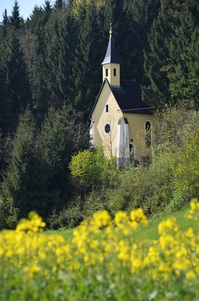 Een Bloeiende Koolzaad Veld Met Een Kapel Ohlsdorf Verkrachting — Stockfoto