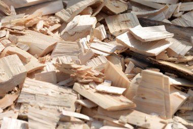 Ahşap işleme şirketinin zemininde odun atıkları ve odun parçaları var. -