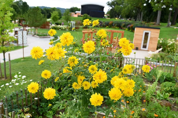 Piękny Ogród Różnymi Rodzajami Kwiatów Górnej Austrii Austria — Zdjęcie stockowe