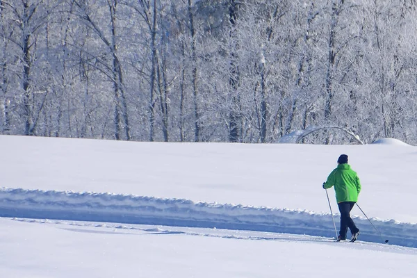 上奥地利南部的冬季仙境戈索是越野滑雪的天堂 — 图库照片