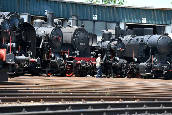 Maior Museu Ferroviário Mineiro Áustria Está Localizado Ampflwang Ampflwang Lokpark — Fotografia de Stock