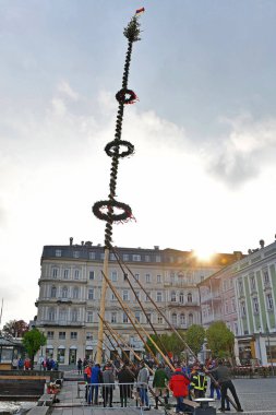 Gmunden 'de Maypole kurulumu (Yukarı Avusturya, Gmunden Bölgesi) - Maypole direği, Avusturya' da 1 Mayıs 'ta (genellikle 30 Nisan) köy veya kasaba meydanında bulunan bir ağaç veya gövdedir..