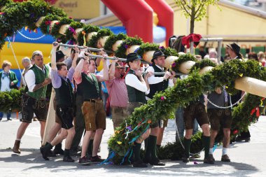 Sankt Georgen 'de Maypole kurulumu (Voecklabruck İlçesi, Yukarı Avusturya) - Maypole direği, Avusturya' da 1 Mayıs 'ta (genellikle 30 Nisan) köy veya kasaba meydanında bulunan bir ağaç veya gövdedir..
