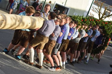 Vorchdorf 'ta Maypole kurulumu (Gmunden ilçesi, Yukarı Avusturya) - Maypole direği Avusturya' da 1 Mayıs 'ta (genellikle 30 Nisan) köy veya kasaba meydanında bulunan bir ağaç veya gövdedir..