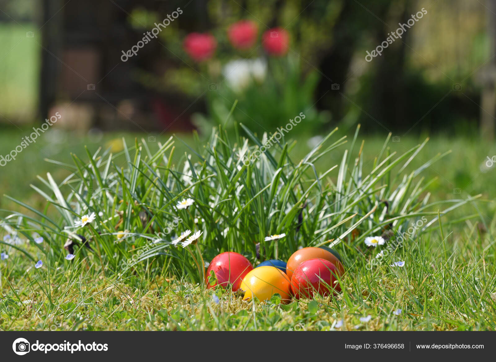 Dar Huevos Pascua Corderos Pascua Para Pascua Una Costumbre