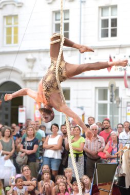 Linz Pflasterspektakel, Avrupa 'nın en önemli ve çeşitli sokak sanat festivallerinden biridir..