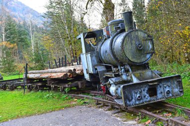 Reichram 'da Waldbahn' ın eski bir buhar lokomotifi (Yukarı Avusturya, Avusturya)