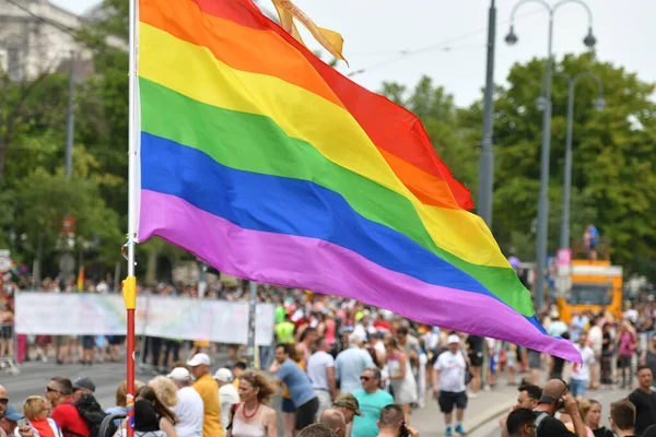 维也纳彩虹游行 Rainbow Parade 是一场政治示威和五彩缤纷的游行 每年都会在维也纳的林荫大道上举行 它致力于男女同性恋者的平等 — 图库照片