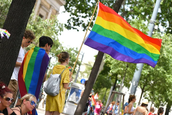 维也纳彩虹游行 Rainbow Parade 是一场政治示威和五彩缤纷的游行 每年都会在维也纳的林荫大道上举行 它致力于男女同性恋者的平等 — 图库照片