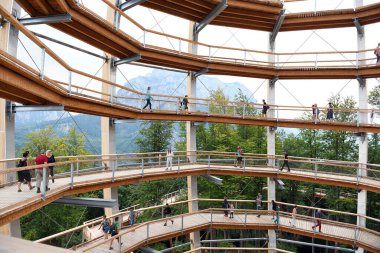 Salzkammergut 'ta Gmunden yakınlarındaki Grnberg' in tepesinde Ağaç Yolu (Yukarı Avusturya, Avusturya)