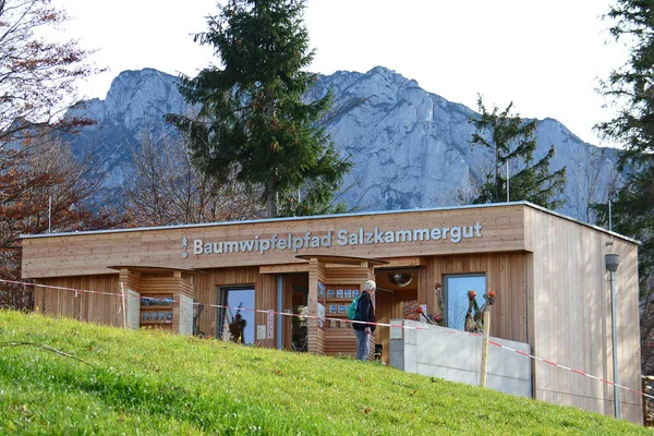 Boomtopwandeling Grnberg Bij Gmunden Het Salzkammergut Opper Oostenrijk Oostenrijk — Stockfoto