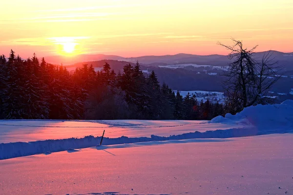 Wintersonnenuntergang Böhmerwald Bezirk Rohrbach Oberösterreich Österreich — Stockfoto